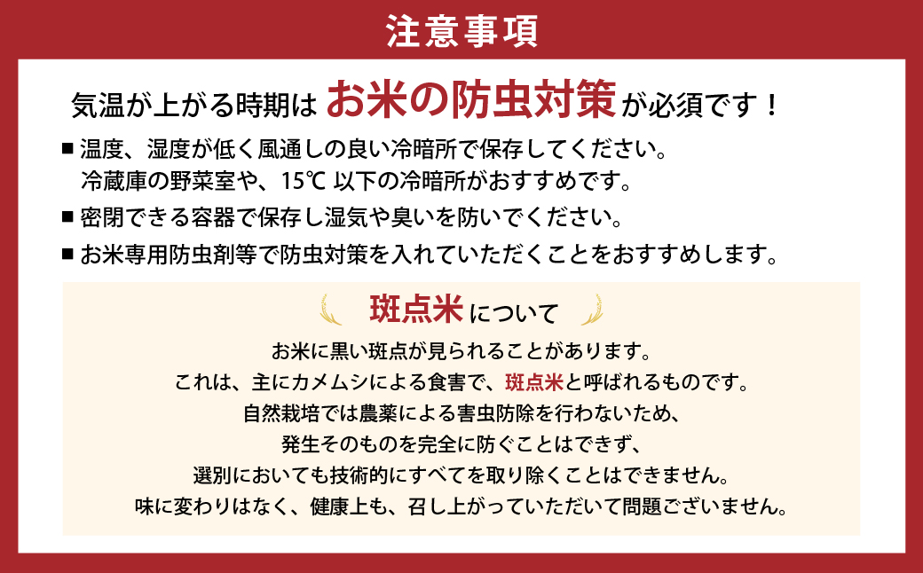 TC-0614【2月発送】特別栽培米　循環型農業で作った「にじのきらめき」5kg×2袋
