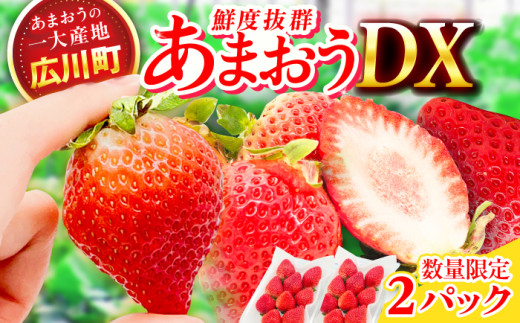 【★先行予約★　2027年2月より発送】あまおうDX等級 1ケース（270g×2パック） いちご イチゴ 苺 フルーツ 果物 旬 福岡県産 小分け あまおう 博多 大きい 甘い 広川町 / JAふくおか八女農産物直売所どろや [AFAB072]