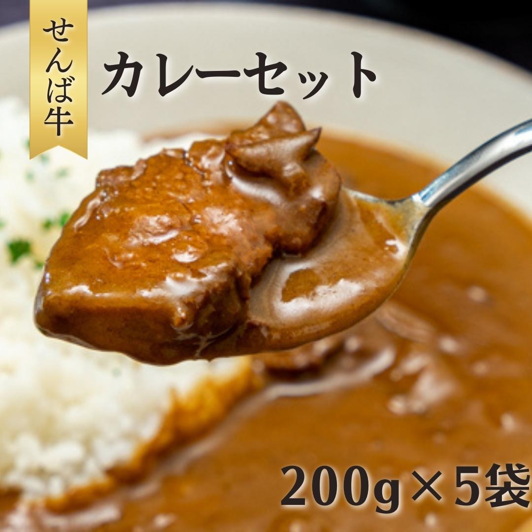 【ふるさと納税】せんば牛カレーセット 200g×5袋 計1kg