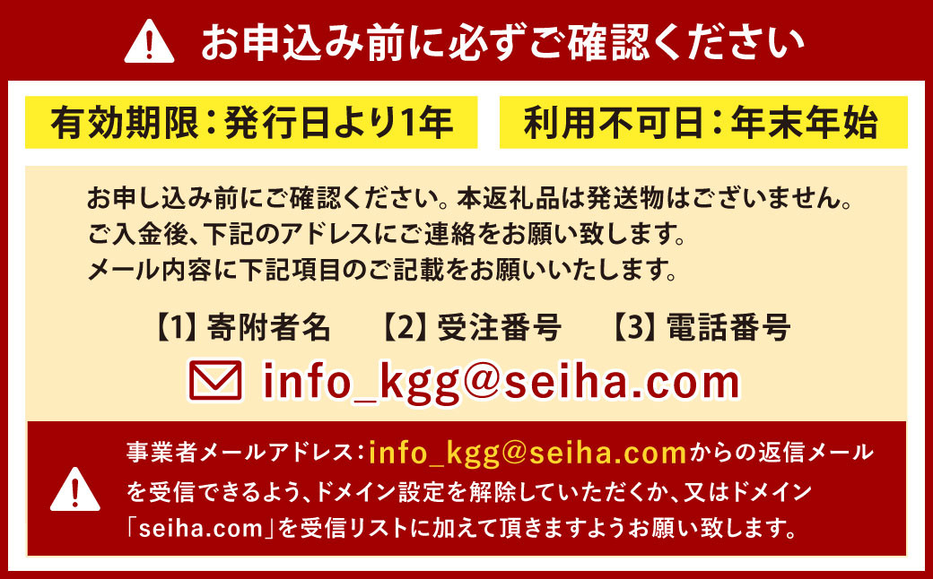 1日英語漬けであそぼう体験チケット（子ども1名様、保護者1名様）