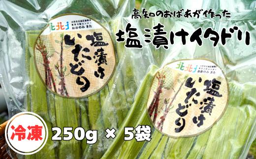 冷凍塩漬けイタドリ 250g × 5袋 セット 冷凍 高知県産 いたどり イタドリ