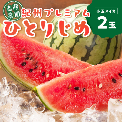 紀州プレミアムひとりじめ(小玉スイカ) 2玉3.5kg程度≪先行予約2026年6月初旬以降発送予定≫