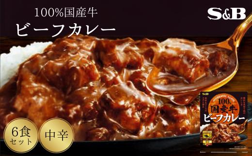 
            「S&B」国産牛ビーフカレー（中辛）170g×6個 【S&B】SB 国産牛100％ お手軽 レンジ対応 湯煎 簡単調理 楽ちん おかず 夕食 中辛 グルメ レトルト エスビー 食品 埼玉県 加須市 加須 お取り寄せ 返礼品 ふるさと納税 送料無料 送料込み
          