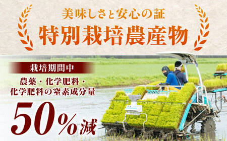 ななしま家 さがびよりレンジアップごはん 150g×20パック / パックご飯 お米 非常食 / 佐賀県 / 有限会社七島農産 [41AHAC010]
