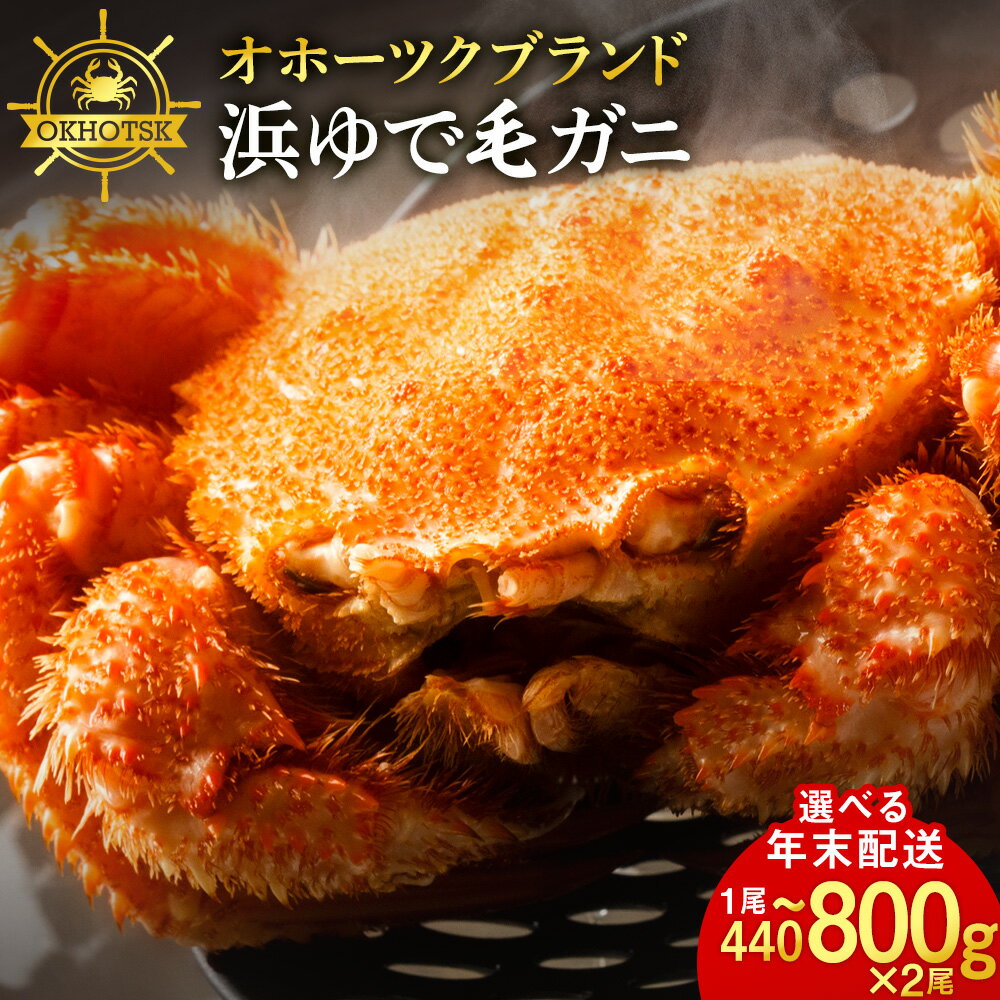 【ふるさと納税】【12月発送先行予約】【楽天限定】 ☆北海道産 毛ガニ 選べる約440g～800g 2尾セット 計880g～1.6kg かに カニ 蟹 毛蟹 冷凍 北海道産 浜頓別町北海道ふるさと納税 ふるさと納税 北海道 浜頓別 通販 贈答品 贈り物