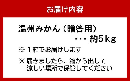 2325R_【令和6年12月中旬から発送】楠本農園直送！温州みかん（贈答用）約5kg