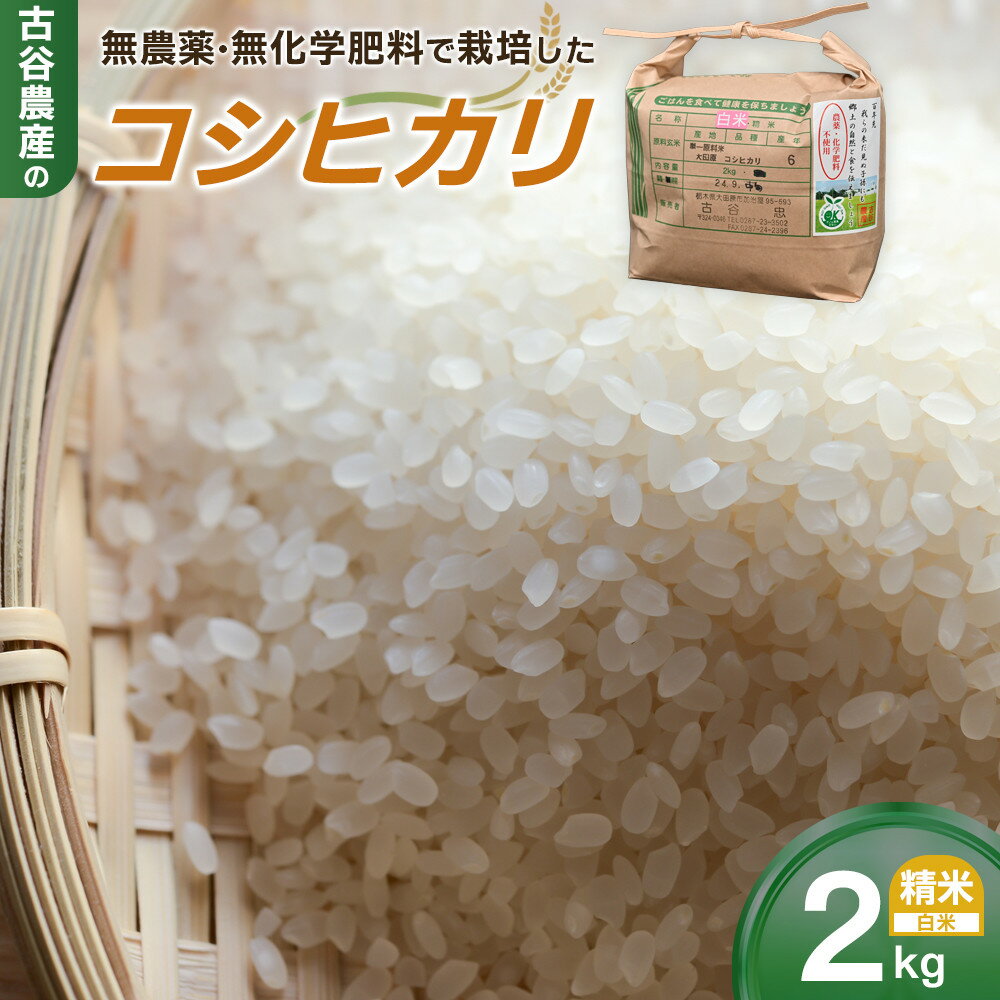 【ふるさと納税】【令和7年産米 数量限定】古谷農産の無農薬・無化学肥料で栽培したコシヒカリ（精米2キロ） ｜米 コメ 白米 2kgコシヒカリ こしひかり 農家直送 産地直送 産直 | お米 こめ 白米 食品 人気 おすすめ 送料無料