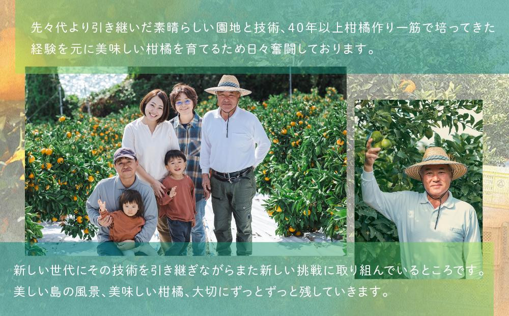 柑橘の大トロ！完熟ハウスせとか 1kg 2027年2月中旬～発送予定