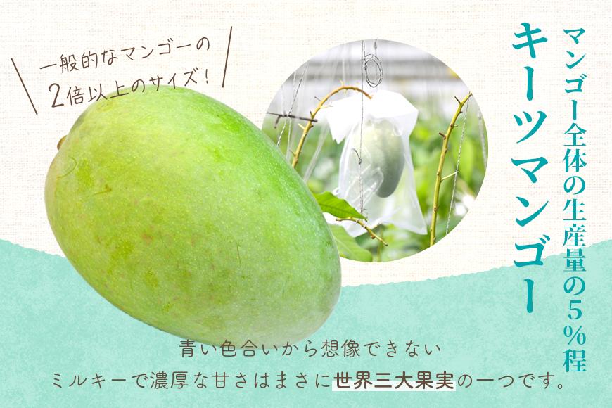 《先行予約 2026年発送》『天使のマンゴー』宮古島産キーツマンゴー  1.6kg （2玉）【ご贈答用】「LA MANGUE BLEUE」農家直送（GZ004）