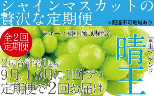 ぶどう 2026年  9月・10月発送 シャイン マスカット 晴王 2房（合計約1kg）×2回  | シャインマスカット シャイン マスカット 果物 フルーツ 新鮮 ブドウ 葡萄  岡山 国産 ギフト おすすめ 人気