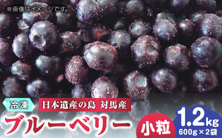 【最速発送】対馬産 ブルーベリー 600g×2袋 計1.2㎏（ 冷凍 ） 【さほの里ファーム 】《 対馬市 》 小粒　離島 対馬 無農薬 有機肥料 旬 果物 フルーツ[WBG011] スピード発送 最短発送