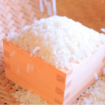 ふるさと納税 新庄市 黒澤のはえぬき(精米)3kg