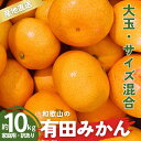 【ふるさと納税】 家庭用 訳あり 有田みかん 和歌山 大玉(2L,3Lサイズ混合) 10kg 【10月上旬～1月下旬頃に順次発送】/ みかん フルーツ 果物 くだもの 蜜柑 柑橘 和歌山 ミカン