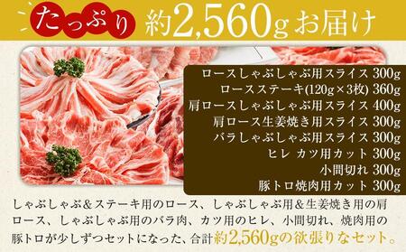 ＼寄附額改定／【1月発送】瀬戸内育ち “極上”の豚肉「瀬戸のもち豚せと姫」スペシャルセット約2,560g (ロース×2種・肩ロース×2種・バラ・ヒレ・小間切れ・豚トロ)【豚肉 食べ比べ セット 詰合せ