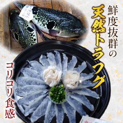 ふるさと納税 西尾市 三河産天然トラフグ刺身とヒガンフグたたきの食べ比べセット・U047 |  | 01