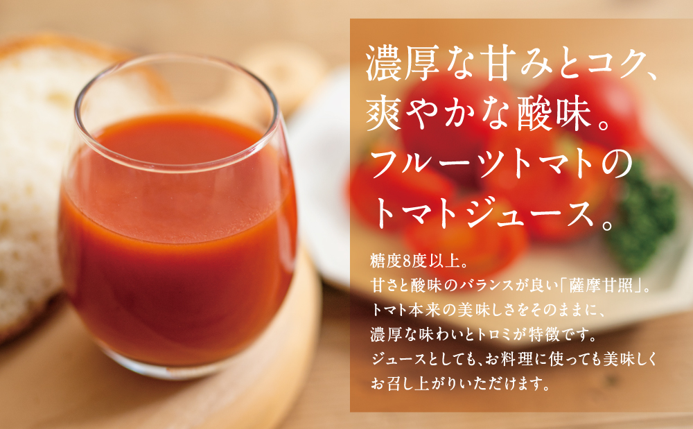 鹿児島県産 フルーツトマト 薩摩甘照ジュース 計1L（500ml×2本）