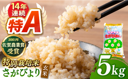 令和6年産 ももちゃんちのお米 さがびより 玄米 5kg【ももさき農産】 [HCG004]