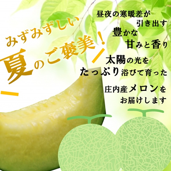 【令和8年産】食の都庄内　庄内の風夏メロン約5kg（3～5玉） ※2026年7月上旬～8月上旬頃発送 [HM5-010(三枡屋)] 風夏メロン約5kg（3～5玉） ￥21,500