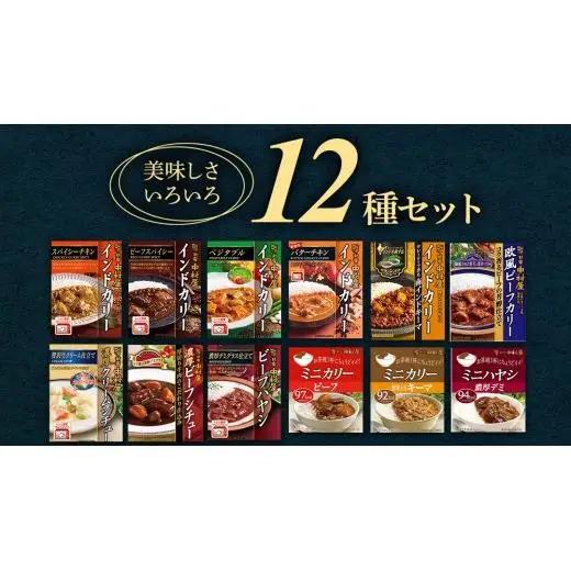 新宿 中村屋 レトルト 食べ比べ セット ( Aセット 12種 )