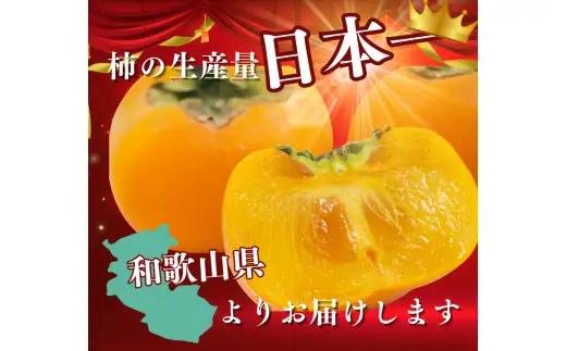 紀ノ川柿  約 2kg 2L~4L(サイズおまかせ) 秀品 / カキ 甘い 美味しい 紀美野町産 ※2026年10月中旬～11月上旬に順次発送【frt504-r-kino-2】
