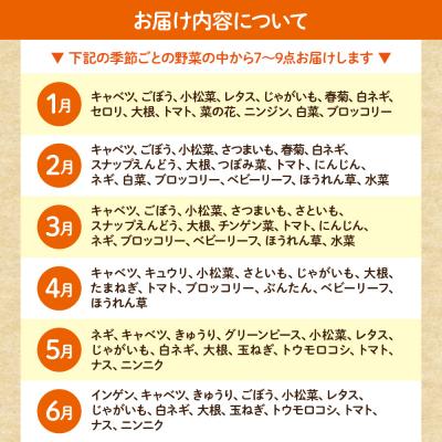 ふるさと納税 宗像市 むなかた旬のお任せセット(野菜) 7〜9品【JAほたるの里】_HA1569 |  | 02