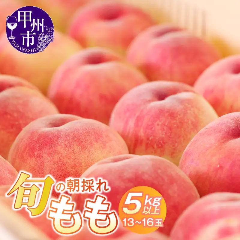 旬の朝採れ特選大玉もも 5.0kg以上（13～16玉）【2025年発送】（HO）C5-411【桃 もも モモ 令和7年発送 期間限定 山梨県産 甲州市 フルーツ 果物】