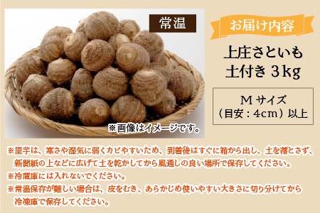 【先行予約】【12月発送分】上庄さといも 3kg 減農薬・減化学肥料の特別栽培里芋 農家直送