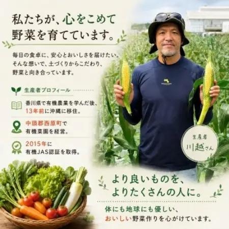 【発送月固定定期便】旬の沖縄野菜(とうもろこし・ナス・オクラ・カリフローレ・スナップエンドウ)全5回【配送不可地域：離島】【4087561】