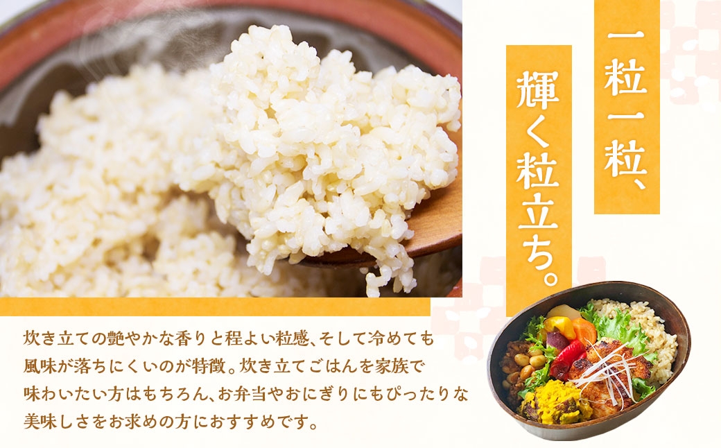 静岡県産コシヒカリ玄米10kg（5kg×2袋）