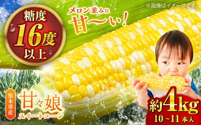 
            【先行予約】【2026年6月上旬より順次発送】スイートコーン (甘々娘) 約4kg (10〜11本) / スイートコーン とうもろこし 高糖度 かんかんむすめ【なかむら農園】 [BHCJ001]
          