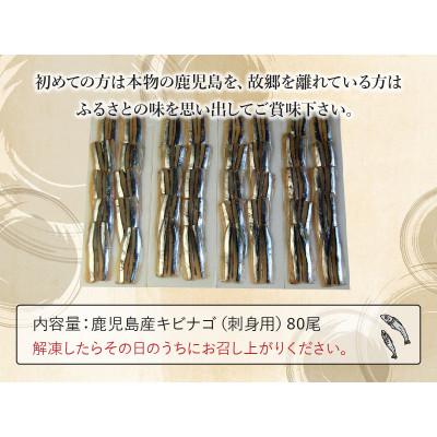 ふるさと納税 南九州市 鹿児島産「キビナゴ」刺身用80尾 008-66 |  | 02