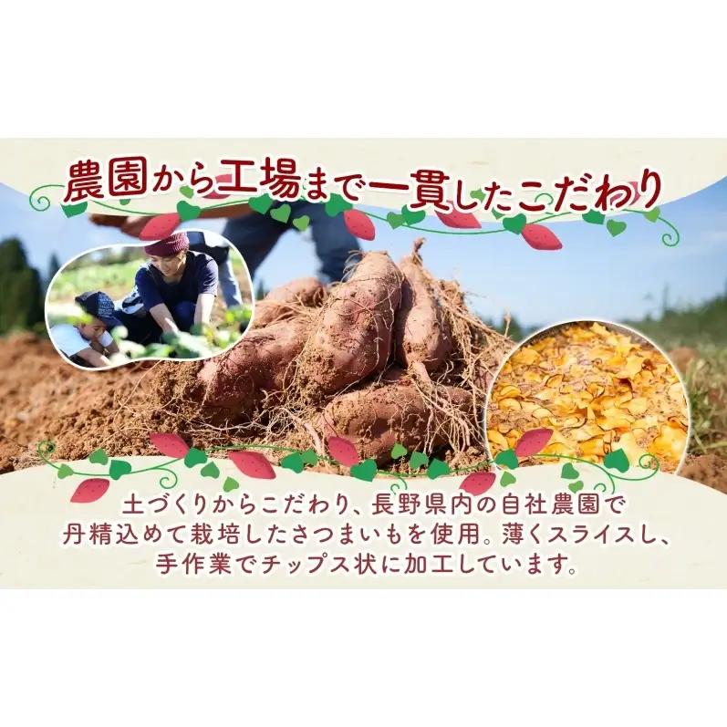 おいもチップス プレーン味 ハニーバター味 各90g×15袋 計30袋 食べ比べ さつまいも はちみつ バター スイーツ サクサク 食感 お茶請け 自社農園 手作業 信州チップス 贈り物 ギフト おい
