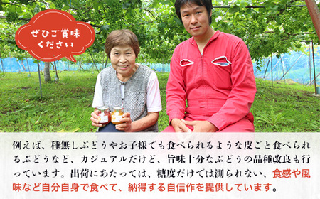 ＜2024年9月上旬頃から順次発送＞田中ぶどう園の厳選朝採りシャインマスカット＜約1.8～2.0kg（2～4房）＞※発送前のご連絡はできませんので、ご注意ください※