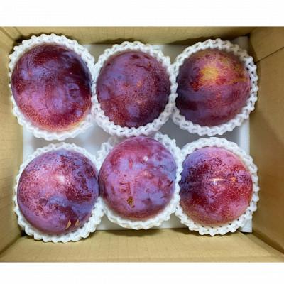 ふるさと納税 南アルプス市 【2027年7月より発送】【すもも・貴陽】一生に一度は食べたい!王様のひと玉! 計1kg(4〜6玉) |  | 01