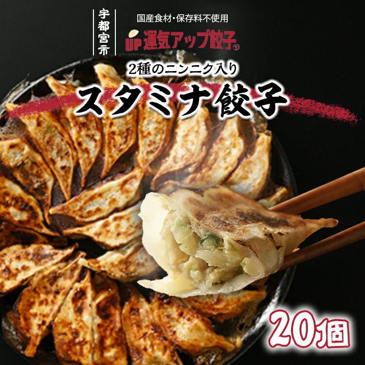 【ふるさと納税】宇都宮餃子 運気アップ餃子 ニンニクマシマシ スタミナ餃子 20個 保存料不使用【冷凍餃子 ぎょうざ ギョウザ 冷凍食品 惣菜 栃木県 宇都宮市 】※配送不可地域：離島