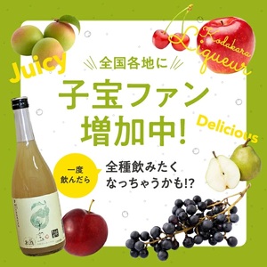SA1947　酒田の酒屋厳選　子宝リキュール 山形ラフランス　720ml×2本