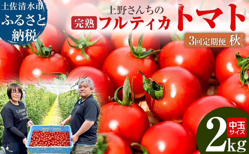 
            R8年産 完熟フルティカトマト2kg（中玉サイズ）3回定期便 秋 10月/11月/12月にお届け 先行受付 天然地下水使用  甘熟ミディトマト フルーツトマト とまと 2000g 2キロ 野菜 サラダ 料理 美味しい 甘い ギフト 国産 高知県 土佐清水市【J00224】
          