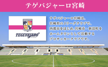 テゲバジャーロ宮崎　応援グッズセット　サッカー　Jリーグクラブ＜1-11＞