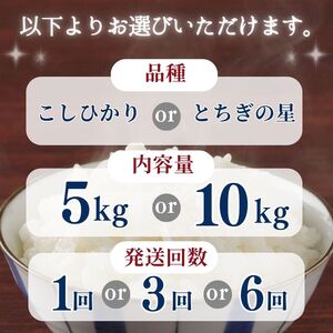 栃木県産とちぎの星 5kg | お米