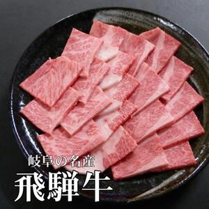 A5等級飛騨牛:焼肉用500g　ロース又は肩ロース肉【配送不可地域：離島】【1538418】