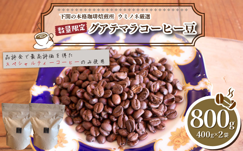 
            訳あり コーヒー豆 800g ( 400g × 2袋 ) グアテマラ 数量限定 選べる 煎り方 定期便 ( コーヒー 珈琲 出荷当日 自家焙煎 スペシャルティコーヒー ホットコーヒー アイスコーヒー コーヒータイム こだわりコーヒー グアテマラコーヒー 飲料 日指定可 ) ウミノネコーヒー 下関 山口
          