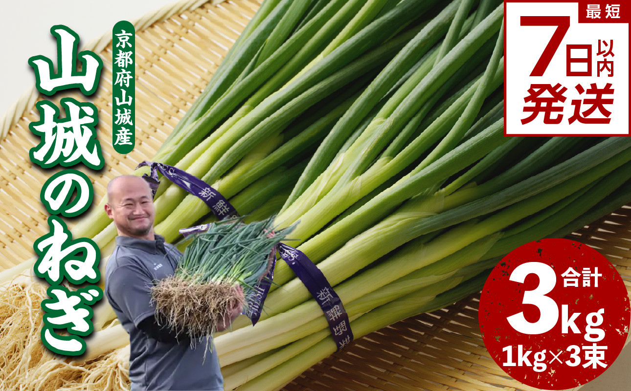 
            【スピード発送】最短7日以内発送！！山城のねぎ 3kg 京野菜 ねぎ 山城のねぎ 京都府 木津川市 ねぎ 【001-14-S】
          