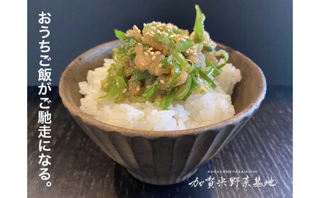 《令和7年産 新米》【6ヶ月定期便】【お米番付優秀賞受賞農家】日本一粒の大きいお米『いのちの壱』白米10kg×6回