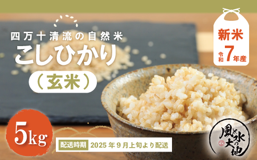 【令和7年産新米・早期受付】四万十清流の自然米　玄米5kg（コシヒカリ） 国産 新米 予約 こしひかり コシヒカリ 5kg 令和7年 2025年 自然米 玄米 げんまい 米 おこめ こめ ご飯 高知 四万十 しまんと 【2025年9月より順次配送】