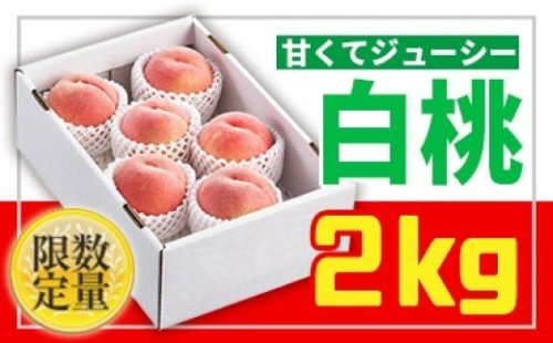 ★フルーツ王国山形★白桃秀品2kg[柔らかくなる桃] FS24-683