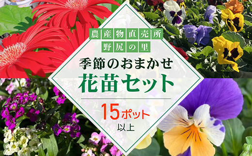 
                  季節のおまかせ花苗セット【15ポット以上】 ANAR011
                