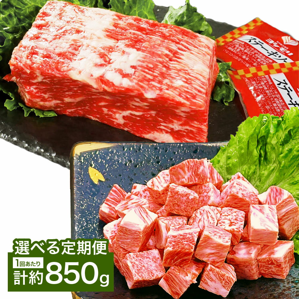 【ふるさと納税】＜選べる定期便＞【人気食べ比べセット！】おおいた和牛 サイコロステーキ・1ポンドブロックセット ステーキソース付 1回あたり計約850g 各1パック 1ヶ月毎 2回 3回 6回 和牛 牛肉 お肉 赤身 ローストビーフ 焼肉 冷凍 国産 大分県産 竹田市 送料無料