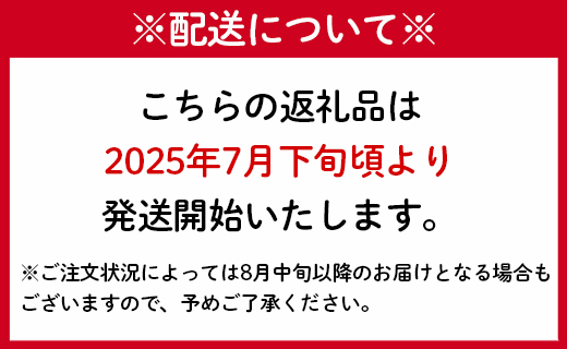 【2025年発送】先行受付 徳之島 天城町産 完全無加温 完熟 マンゴー Ａ品 1kg 贈答