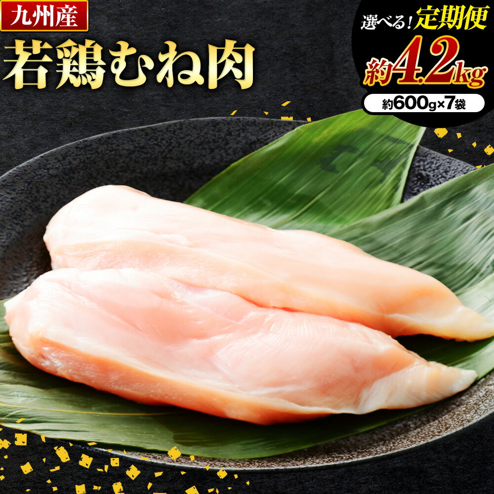 【ふるさと納税】選べる 定期便 九州産若鶏ムネ肉 600g×7袋 計12.6kg（4.2kg×3回） 鶏肉 お肉 ムネ肉 むね肉 小分け 冷凍 九州産 国産 熊本県 菊池市 送料無料《お申し込みの翌月から出荷》