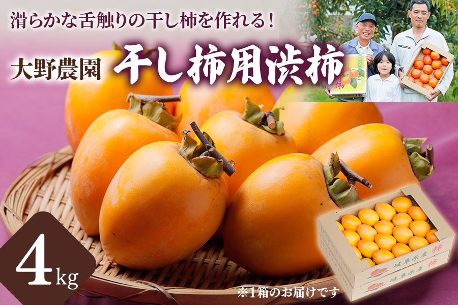 
            先行予約【令和7年産】大野農園の干し柿用渋柿（4kg) 【滑らかな舌触りの干し柿を手作りで！】サイズ不揃い 訳あり 11月発送予定
          